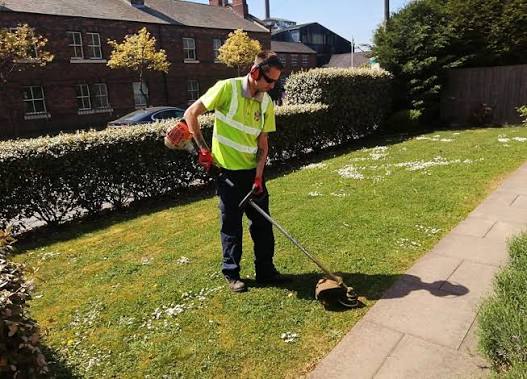 Weeding and bed maintenance along garden pathways in Old Bexley