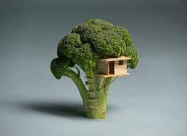 Check spelling or type a new query. Cool Random Stuff Photos Facebook