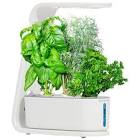 AeroGarden Sprout Hydroponic Garden System, White Scotts
