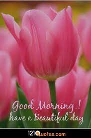 We did not find results for: 200 Beautiful Good Morning Images Latest Update