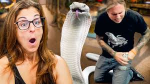 Crew Reacts To Brian With Rare White King Cobra!