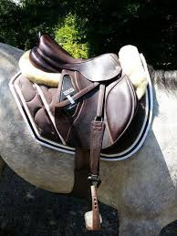 Paddock Sport Brand Carpet Maybe Customizable On My Cheval Com Skym Tapis Paddock Sport Tapis Equitation Selle Equitation