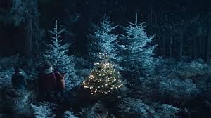 Comme en 2010, cette année encore vous allez pouvoir acquérir votre sapin de noël pour la modique somme d'un euro. Ikea Kidnappe Des Sapins De Noel