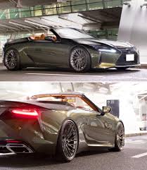 Image result for Nori Green 2023 LC