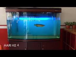 Cara menjernihkan air aquariun part 2. Proses Pemasangan Lampu Uv Pada Depot Air Minum Isi Ulang Part 1 By Tanindo Wtp