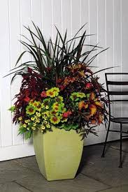 A Classic Combination One Tall Plant Two Buschy That Will Give Volume And Two Cascading Down Garden Containers Plants Container Flowers