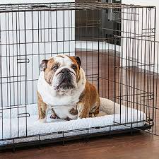 This crate fits any breed up to 30 pounds and has a this crate features 4 different sizes and is able to accompany large dogs such as great danes, great pyrenees, greyhounds, and st. Pet Gear Dog Crates Crate Pads Dog Carriers Houses Kennels The Home Depot