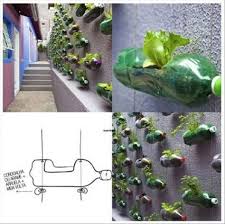 Another practical way to reuse plastic bottles in the garden is to make them seed starters. 20 Fun And Creative Crafts With Plastic Soda Bottles Bottle Garden Garden Herb Garden