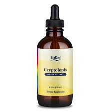 Image result for Cryptolepis products