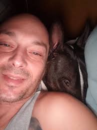 Do Bull Terriers require constant physical contact and affection from their  owners?