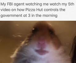 40 Memes That Are Equal Parts Amazing And Funny Funny Pictures Funny Picture Gallery Memes