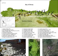 Repositorio digital comisión económica para américa latina y el caribe. Study Area A Map Indicating The Location Of The Peat Bog Of Zalama Download Scientific Diagram