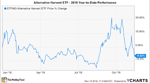 Why Etfmg Alternative Harvest Etf Is Down 9 5 So Far In