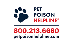 Pyrethrin Pyrethroid Poisoning In Dogs Vca Animal Hospital