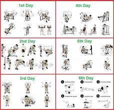 5 day bodybuilding workout schedule pdf sport1stfuture org