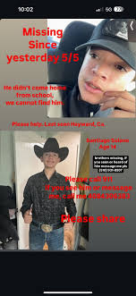 Lost White Cat in Hayward, CA, near Mt. Eden HS