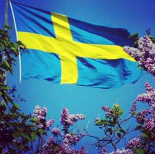 Inlägg om nationaldagen skrivna av mattias axelsson. Detta Hander Pa Nationaldagen 6 Juni 11 Lokala Tips Battre Stadsdel