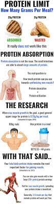 How Much Protein Can The Body Absorb In One Meal Gymguider Com Nutrition Diet Plan Diet And Nutrition Health And Nutrition