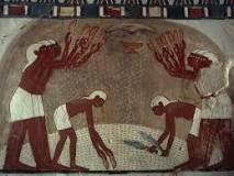 Image result