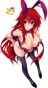 High School DxD 