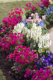 Healthy Food Tips In Tamil Gardeningtipscolorado Garden Planning Garden Care Beautiful Flowers Garden