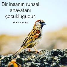 Dogancuceloglu Birkadinbirses Pdr Rpd Psikoloji Klinikpsikoloji Psikolojik Psikolojikbilgiler Insan Anavatan Cocuk Ruhs Psikoloji Guzel Soz Evlilik