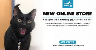 Maybe you would like to learn more about one of these? Animal Hospital In Huntington Beach Ca Beach Boulevard Br Pet Hospital