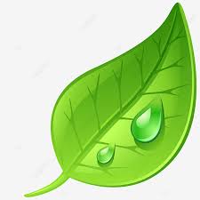 Elemen logo ikon desain rumah daun vektor rumah perumahan real png dan vektor dengan latar belakang transparan untuk unduh gratis. Gambar Vektor Daun Clipart Daun Daun Menanam Png Dan Vektor Dengan Latar Belakang Transparan Untuk Unduh Gratis