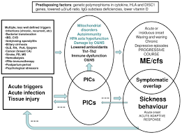 It can be hypothesized that cfs, at least at its early stages and at least in some cfs patients however, new studies are required to clarify this matter. A Narrative Review On The Similarities And Dissimilarities Between Myalgic Encephalomyelitis Chronic Fatigue Syndrome Me Cfs And Sickness Behavior Bmc Medicine Full Text