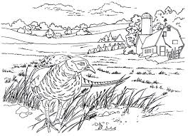 A Peacock In A Farm Field Living In The Country Coloring Book Page Coloring Book Pages Coloring Books Book Pages