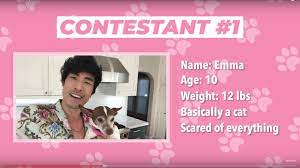 Eugene lee yang was born on 18 january 1986 in pflugerville, texas as per wiki. Eugene Lee Yang On Twitter Forget Horoscopes Tag Yourself As One Of My Dogs