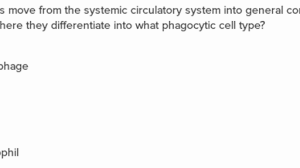Immune System Questions Practice Khan Academy