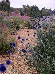 Pin On Gardens