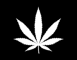 Try to draw any of them or all of them completely free in our online simulator! Cannabis Logo Ideas Make Your Own Cannabis Logo Looka