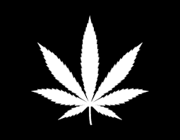 There's no other way to say it: Cannabis Logo Ideas Make Your Own Cannabis Logo Looka