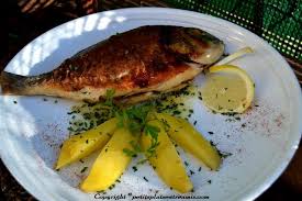 Epingle Sur Poisson Et Crustaces