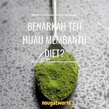 Bagaimanakah proses pengolahan teh hijau? Teh Hijau Untuk Diet Yang Membantu Penurunan Berat Badan Oleh Oleh Khas Jakarta