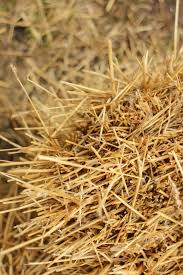 It has a number of different uses, including fuel, livestock bedding and fodder, thatching and basket making. Walker S Livestock Feed Supplies Straw Bales In Stock Ideal For Natural Mulching Garden Beds Ground Cover And Animal Bedding Here S A Great Article On He Many Uses For Straw From
