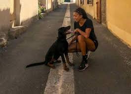 Tom jenkins (sport photographer for the guardian and the observer). Nafi Thiam In Rouw Na Plots Overlijden Van Haar Hondje Ik Ben Nog Altijd In Shock Meer Sport Hln Be