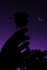 A collection of the top 38 purple aesthetic wallpapers and backgrounds available for download for free. Space Aesthetic Wallpapers And Hd Backgrounds Free Download On Picgaga