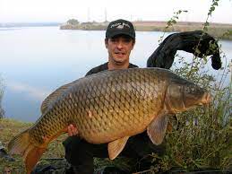 We did not find results for: Carp Fashion Tendinte In Pescuitul Modern