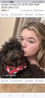 Lost Female Black Miniature Poodle in Paragould, AR