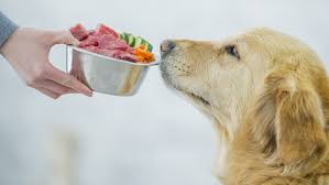 Quelle est la meilleure alimentation pour nos chiens sylvie. Donner De La Nourriture Crue A Votre Chien Ou Votre Chat N Est Pas Sans Risque