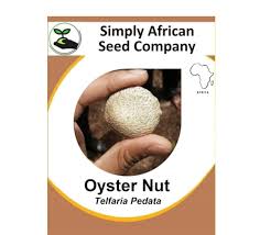 Image result for Telfairia pedata