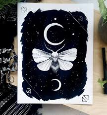 Crescent Moth Jpg Moth Illustration Moth Art Art
