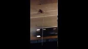 Show more on imdbpro ». Peeing Off A Bridge On To Cars In Vancouver Youtube
