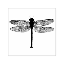 Black And White Insect With Wings Uk Vintage Black And White Dragonfly Illustration Self Inking Stamp Zazzle Com Dragonfly Illustration Dragonfly Photography Black And White Illustration