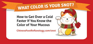 What Color Is Your Snot Wind Cold Vs Wind Heat Infographic