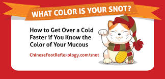 what color is your snot wind cold vs wind heat infographic