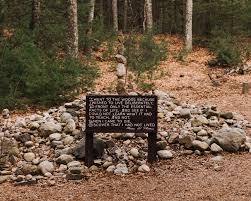 Lessons In Constructive Solitude From Thoreau The New York Times